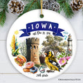 Artistic Iowa State Themes and Landmarks Christmas Ornament