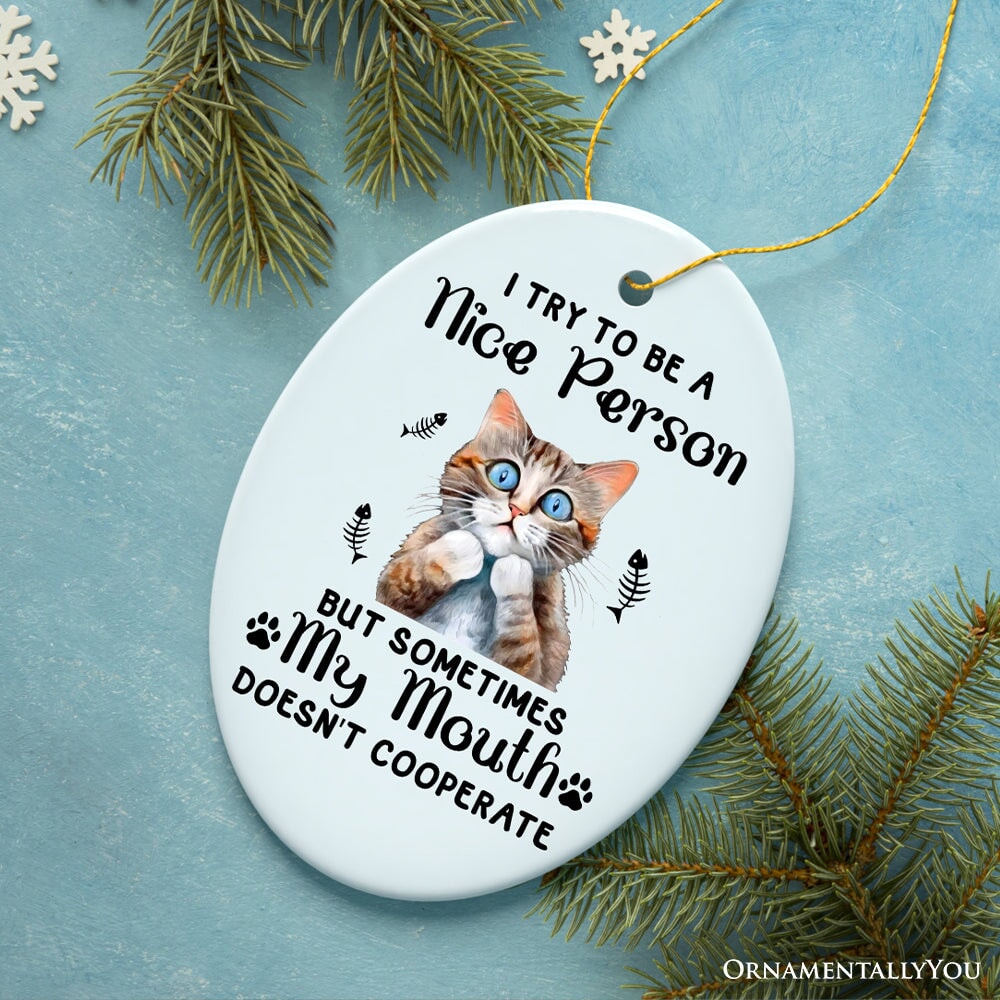 Funny Cat Trying to be a Nice Person, Cute and Funny Christmas Gift